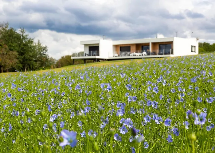 Фото Les Gites Du Cap Cod Варенжвиль-сюр-Мер