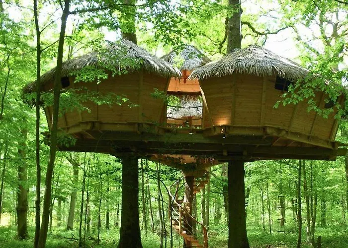 Domaine De Fontaine Chatel Saint-Germain-des-Essourts φωτογραφία