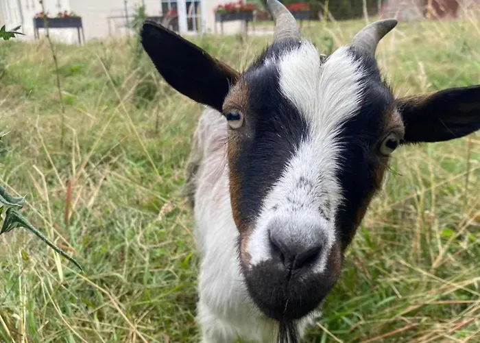 Le Loft D'Adrien, Une Ode A La Douc'Eure, Classe 3 Etoiles Beauficel-en-Lyonsの写真