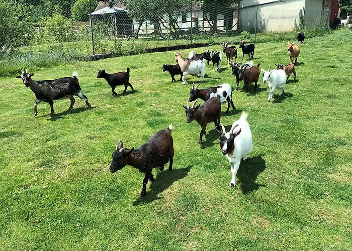 JuignettesLa Mini Ferme Normande别墅照片